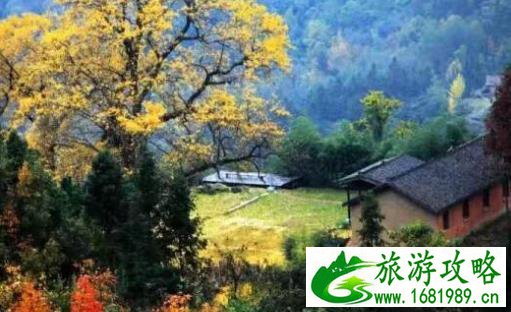 全真草堂和琴人谷游记 全真草堂和琴人谷游记