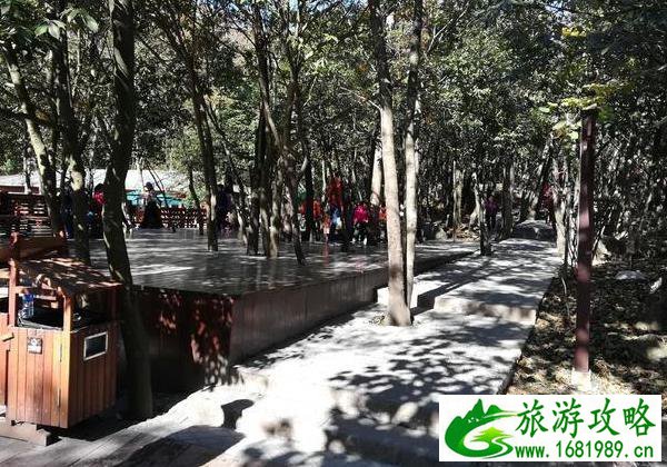 天门山一日游攻略最新 天门山一日游攻略最新