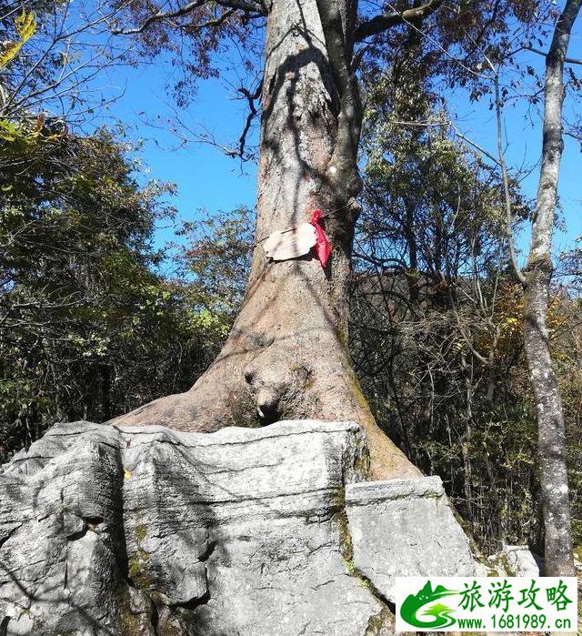 天门山一日游攻略最新 天门山一日游攻略最新