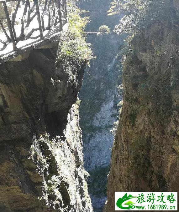 天门山一日游攻略最新 天门山一日游攻略最新