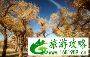 额济纳胡杨林旅游攻略 额济纳胡杨林旅游攻略