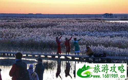 额济纳胡杨林旅游攻略 额济纳胡杨林旅游攻略