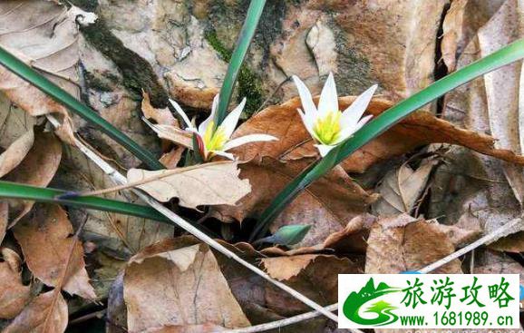 五岐山空青山徒步穿越游记 五岐山空青山徒步穿越游记