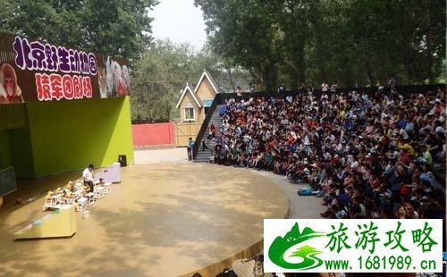 2022去大兴野生动物园攻略(官网+表演时间+推荐路线) 2022去大兴野生动物园攻略(官网+表演时间+推荐路线)