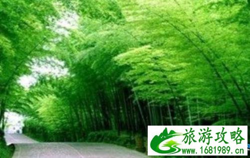 2022 肇庆周边一日游攻略(必游景点+地址及交通) 2022 肇庆周边一日游攻略(必游景点+地址及交通)