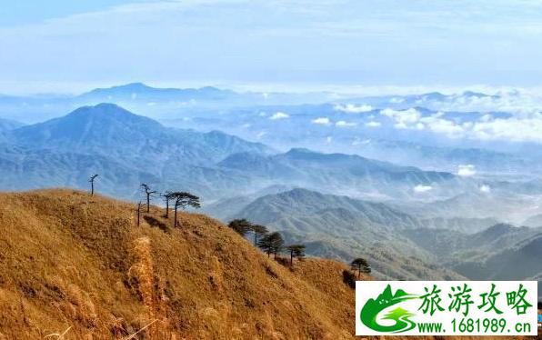 2022武功山旅游攻略 2022武功山游记