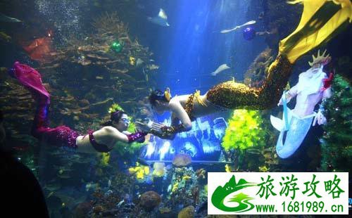 2022上海长风海洋世界官网+表演时间+游玩攻略 2022上海长风海洋世界官网+表演时间+游玩攻略