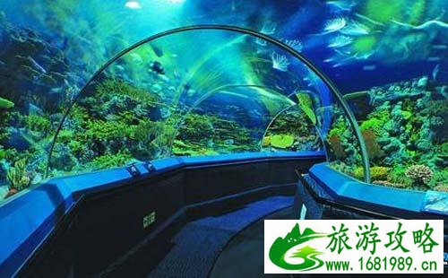 2022上海长风海洋世界官网+表演时间+游玩攻略 2022上海长风海洋世界官网+表演时间+游玩攻略