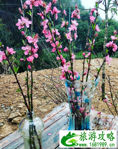 桃花山好玩吗 桃花山游记 桃花山好玩吗 桃花山游记