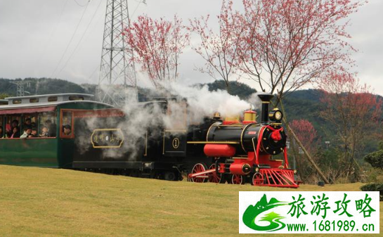 邵武樱花古镇游玩攻略 邵武樱花古镇游记 邵武樱花古镇游玩攻略 邵武樱花古镇游记
