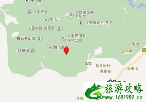 2022金鞭溪游玩攻略 去金鞭溪怎么走 2022金鞭溪游玩攻略 去金鞭溪怎么走