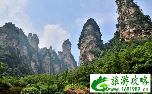 2022金鞭溪游玩攻略 去金鞭溪怎么走 2022金鞭溪游玩攻略 去金鞭溪怎么走