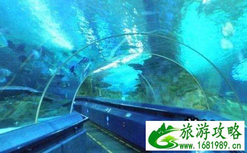 2022富国海底世界游玩攻略 北京富国海底世界好吗 2022富国海底世界游玩攻略 北京富国海底世界好吗