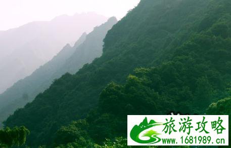 2022衢州药王山旅游攻略 衢州药王山门票多少 2022衢州药王山旅游攻略 衢州药王山门票多少