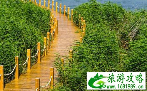 2022兴凯湖旅游攻略 兴凯湖在哪 2022兴凯湖旅游攻略 兴凯湖在哪