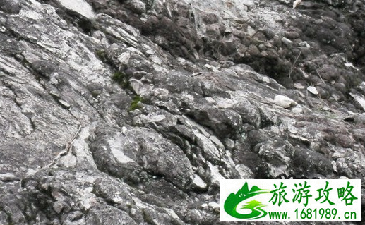 2022大龙湫景区游玩攻略 大龙湫景区要爬山吗