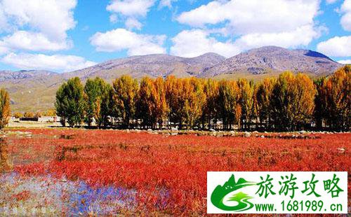 桑堆小镇游玩攻略 桑堆村红草地图片/照片 桑堆小镇游玩攻略 桑堆村红草地图片/照片
