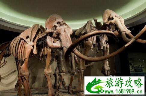 大庆博物馆作文800字 大庆博物馆作文800字