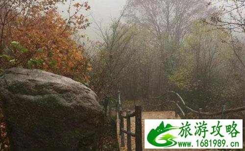 茅荆坝有什么好玩的 茅荆坝国家森林公园旅游游记 茅荆坝有什么好玩的 茅荆坝国家森林公园旅游游记