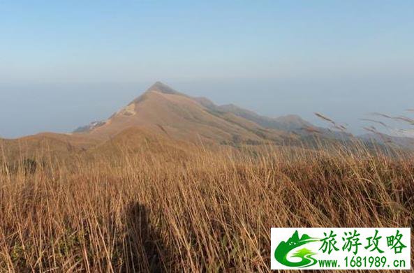 天仙草原游记 恭城燕子山天仙草原徒步攻略 天仙草原游记 恭城燕子山天仙草原徒步攻略