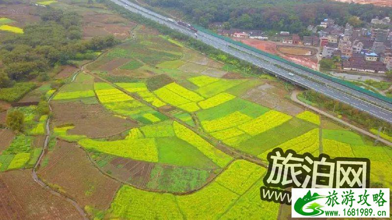 清远英德横石塘镇唐屋村看油菜花攻略