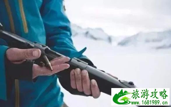 2022斯瓦尔巴群岛旅游攻略+注意事项+景点推荐