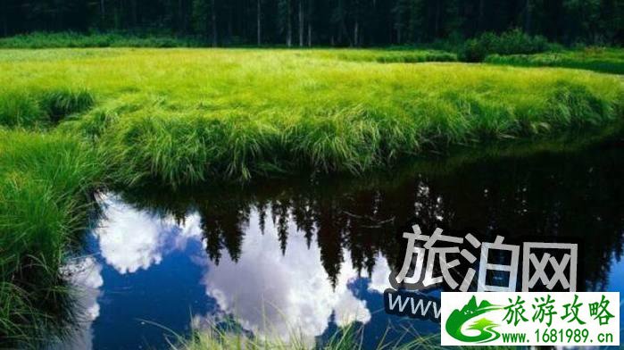 马踏湖金丝鸭蛋的特点 马踏湖旅游攻略 马踏湖金丝鸭蛋的特点 马踏湖旅游攻略