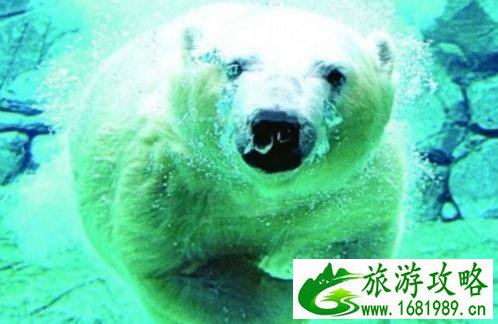 2022皇家海洋乐园游玩攻略 皇家海洋乐园门票价格是多少 2022皇家海洋乐园游玩攻略 皇家海洋乐园门票价格是多少