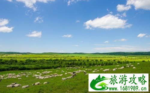 2022张北草原旅游攻略 张北草原在什么地方 2022张北草原旅游攻略 张北草原在什么地方