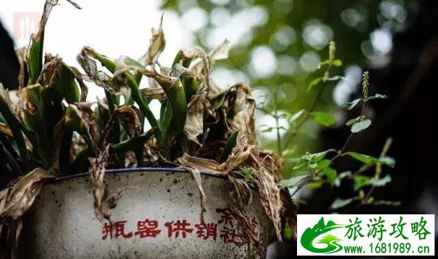 瓶窑老街游记攻略 瓶窑老街整治后的场景