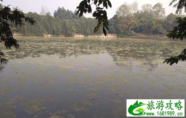 成都白莲池游记 成都白莲池游记