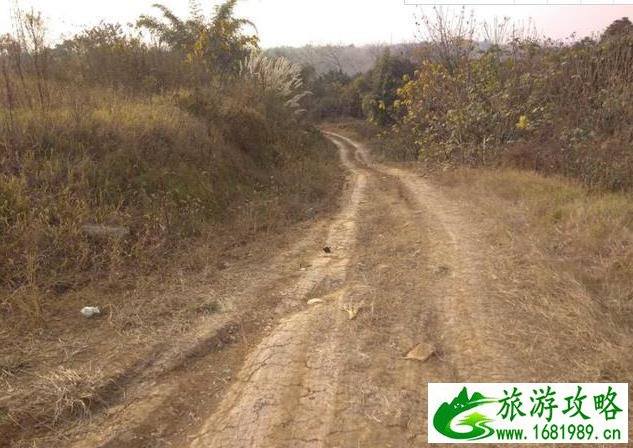 成都白莲池游记 成都白莲池游记