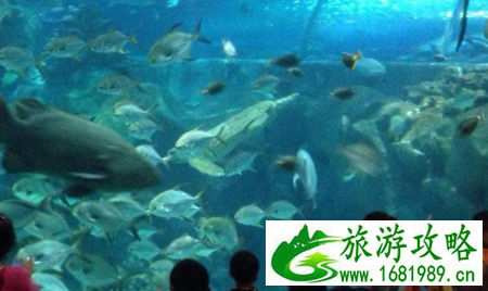 长沙海底世界门票是多少 长沙海底世界好玩吗 长沙海底世界门票是多少 长沙海底世界好玩吗
