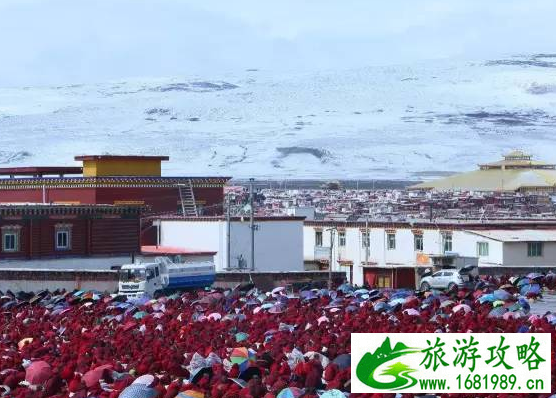 怎么去亚青寺 德格有去亚青寺有车吗 怎么去亚青寺 德格有去亚青寺有车吗