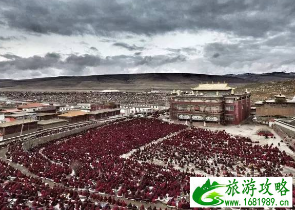 怎么去亚青寺 德格有去亚青寺有车吗 怎么去亚青寺 德格有去亚青寺有车吗