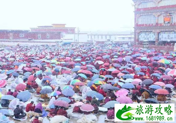 怎么去亚青寺 德格有去亚青寺有车吗 怎么去亚青寺 德格有去亚青寺有车吗