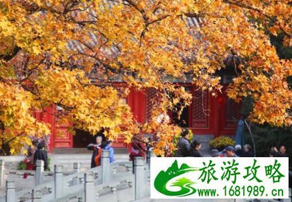 香山公园什么时候去最好 香山公园门票是多少 香山公园什么时候去最好 香山公园门票是多少