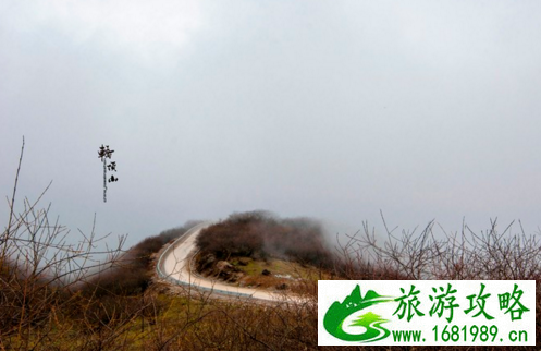 轿顶山景区怎么样 轿顶山景区游记 轿顶山景区怎么样 轿顶山景区游记