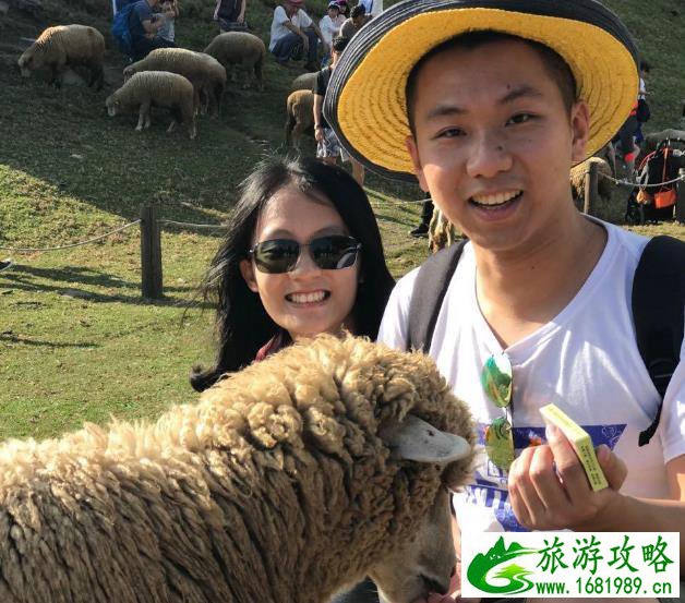 台湾逆时针环岛游攻略