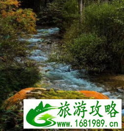 毕棚沟门票多少钱 毕棚沟有什么好玩的 毕棚沟门票多少钱 毕棚沟有什么好玩的