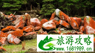 毕棚沟门票多少钱 毕棚沟有什么好玩的 毕棚沟门票多少钱 毕棚沟有什么好玩的