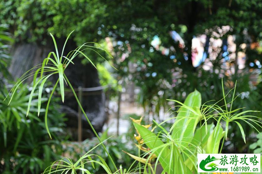 新加坡自由行攻略 新加坡自由行注意事项 新加坡自由行攻略 新加坡自由行注意事项