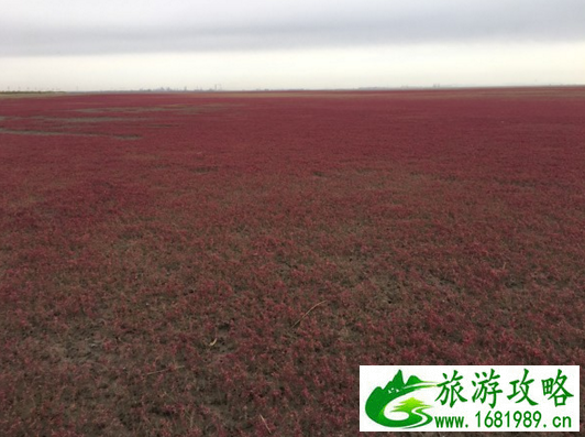 沈阳有什么好玩的地方 沈阳旅游攻略 沈阳有什么好玩的地方 沈阳旅游攻略