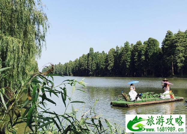 李中水上森林公园攻略游记 李中水上森林公园攻略游记