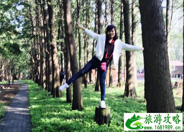 李中水上森林公园攻略游记 李中水上森林公园攻略游记