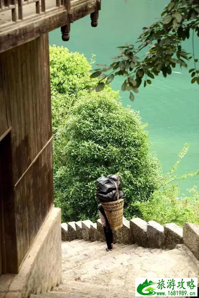 重庆酉阳旅游攻略 重庆酉阳旅游攻略