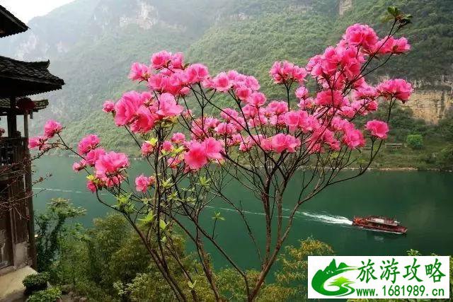 重庆酉阳旅游攻略 重庆酉阳旅游攻略