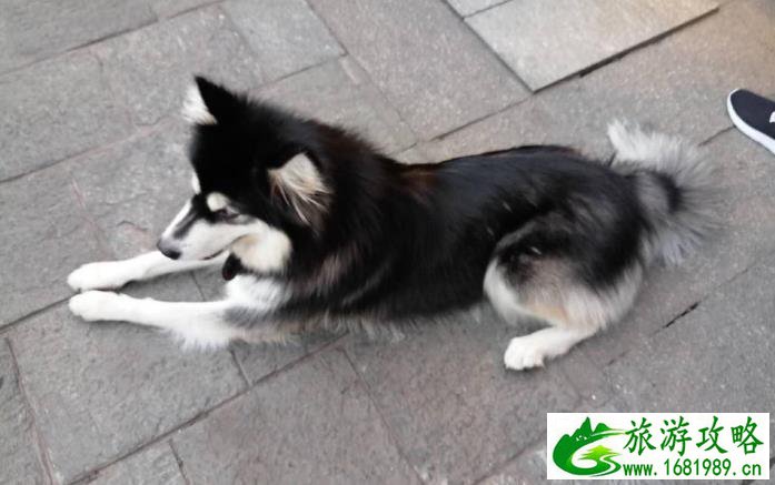 云南昆明大理丽江旅游攻略 云南昆明大理丽江旅游攻略