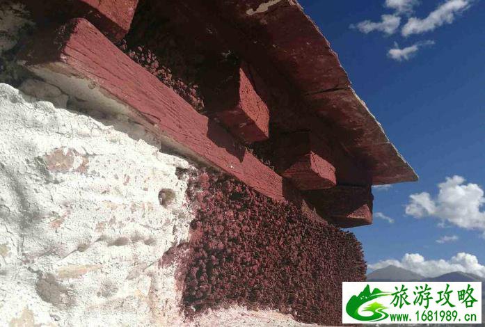 布达拉宫和大昭寺游记 布达拉宫和大昭寺游记