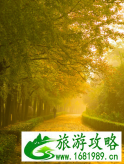 南京旅游交通攻略+住宿攻略+美食攻略 南京旅游交通攻略+住宿攻略+美食攻略